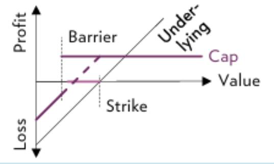 Barrier reverse convertible profit/loss profile