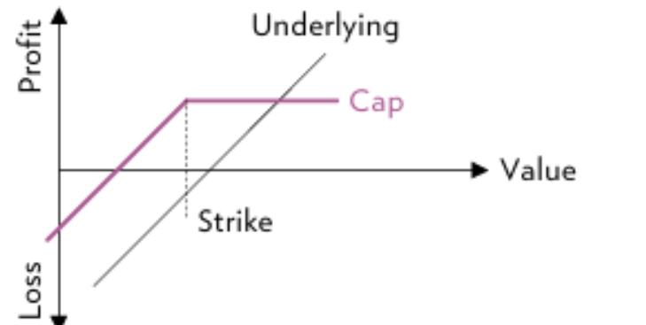 Barrier reverse convertible pay-off profile