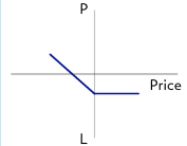 Original long put profit and loss graph