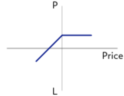 Original short put profit and loss graph