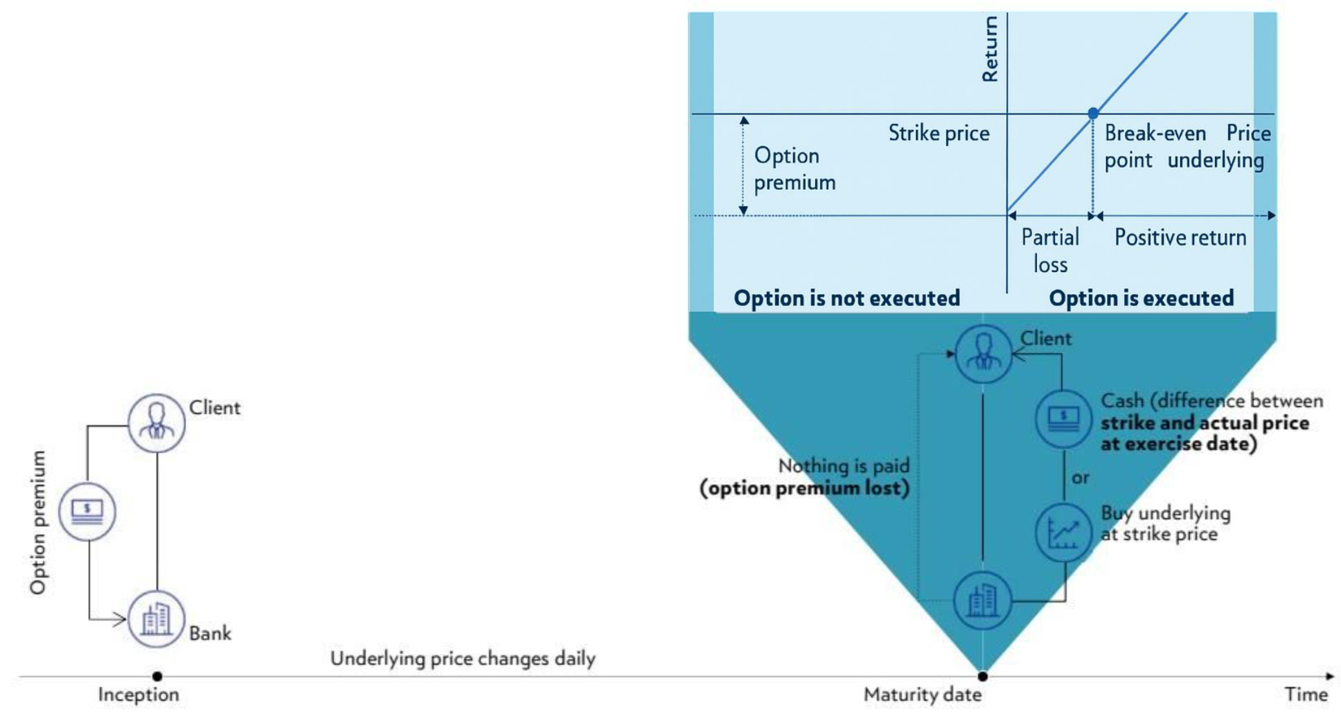 Original table and graphs comparing four option profit and loss profiles